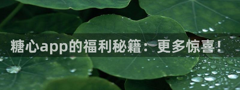 糖心vlog传媒在线:糖心app的福利秘