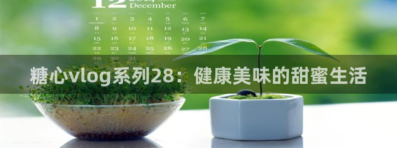 糖心vlog直播:糖心vlog系列28: