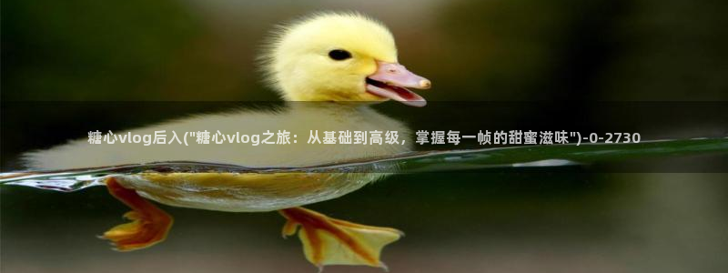 糖心糖vlog:糖心vlog后入(\